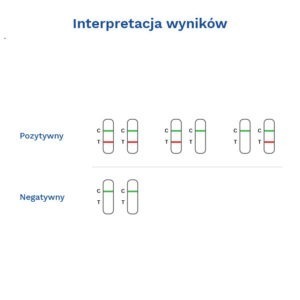 VITASSAY NOROVIRUS GI+GII-galeria-3
