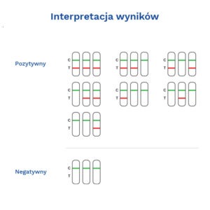 VITASSAY ROTAVIRUS + ADENOVIRUS + NOROVIRUS-galeria-3