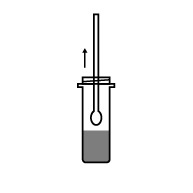 iGFBP-1 INSULIN-LIKE GROWTH FACTOR-BINDING PROTEIN 1