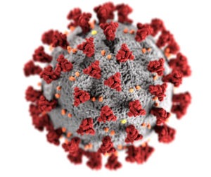 wizualizacja koronawirusa SARS-CoV-2