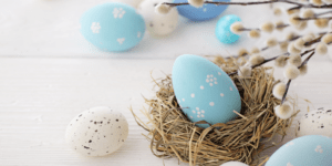 Wielkanocny przepis na babeczki oraz zniżka na LipidPro